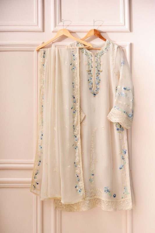 AGHA NOOR CHIFFON COLLECTION #AN667